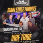 Vibe Tribe LIVE!